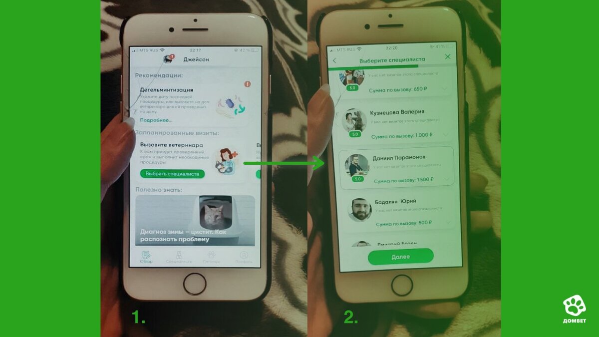 Мой печальный опыт вызова ветеринара из интернета. Рассказываю о сервисе,  который в итоге спас любимого кота | ДомВет | Дзен