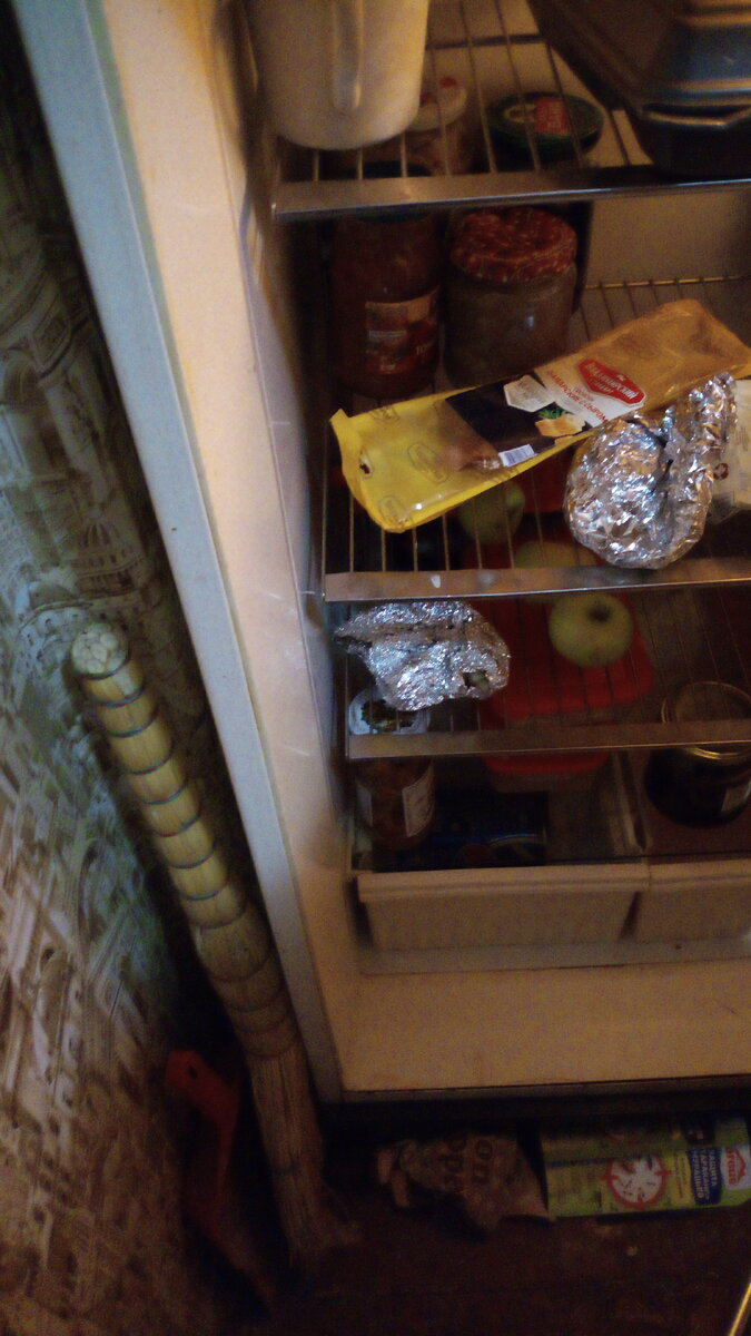 Одинокая сосиска в упаковке смотрится гораздо солиднее, чем просто одинокая сосиска - в этом холодильнике когда-то была целая упаковка сосисок...