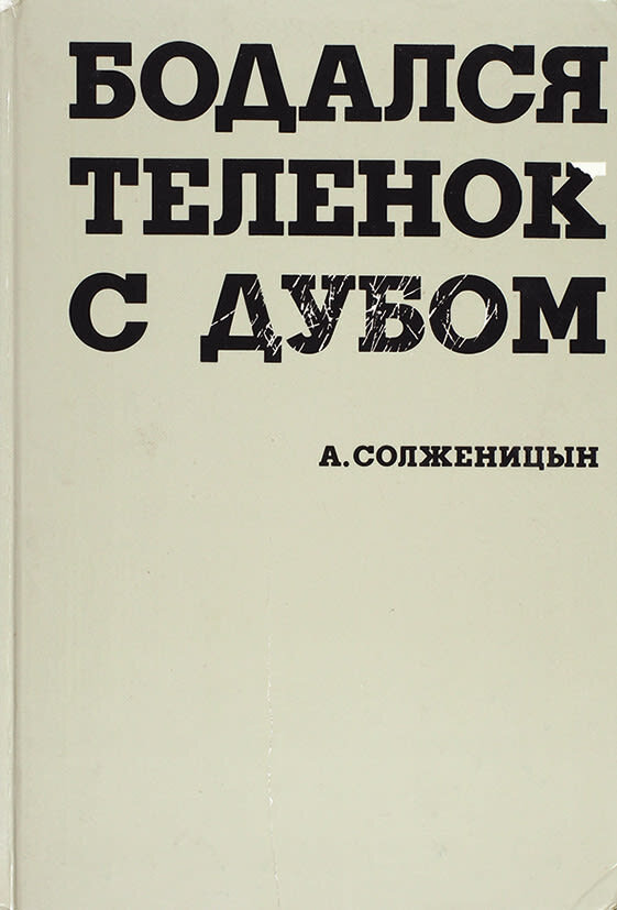 Фото из открытого источника.