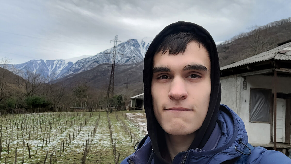 Виноградники