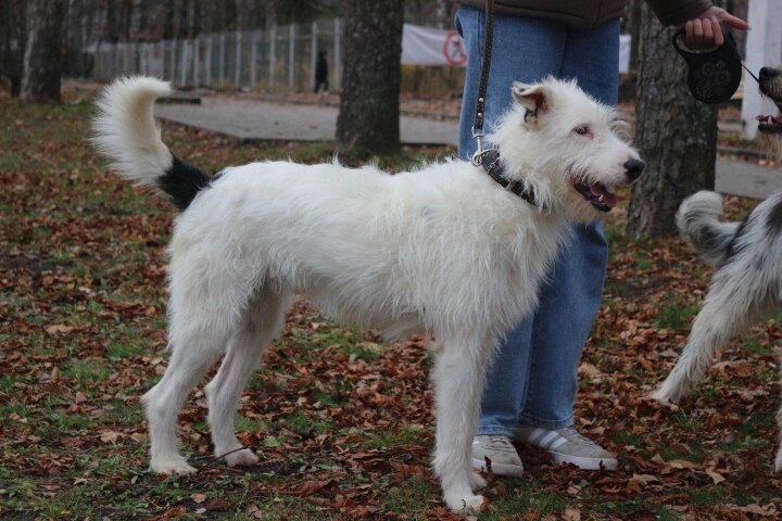 Наша красотка