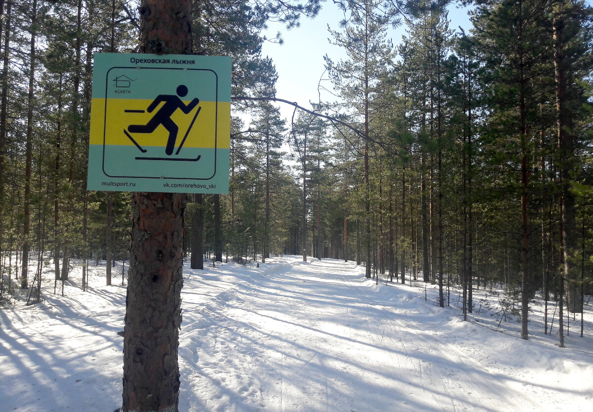 Ореховская лыжная трасса