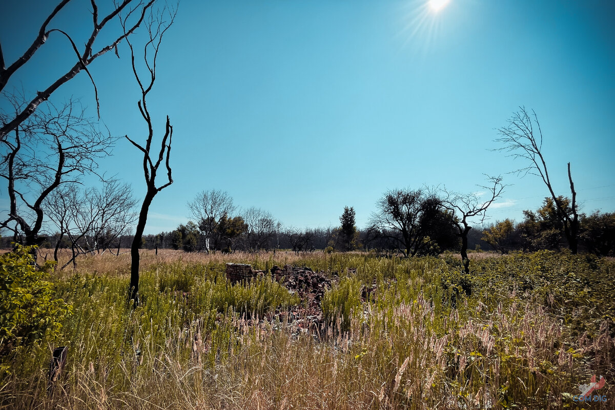 Уничтоженное пожаром село Кривая гора. 
