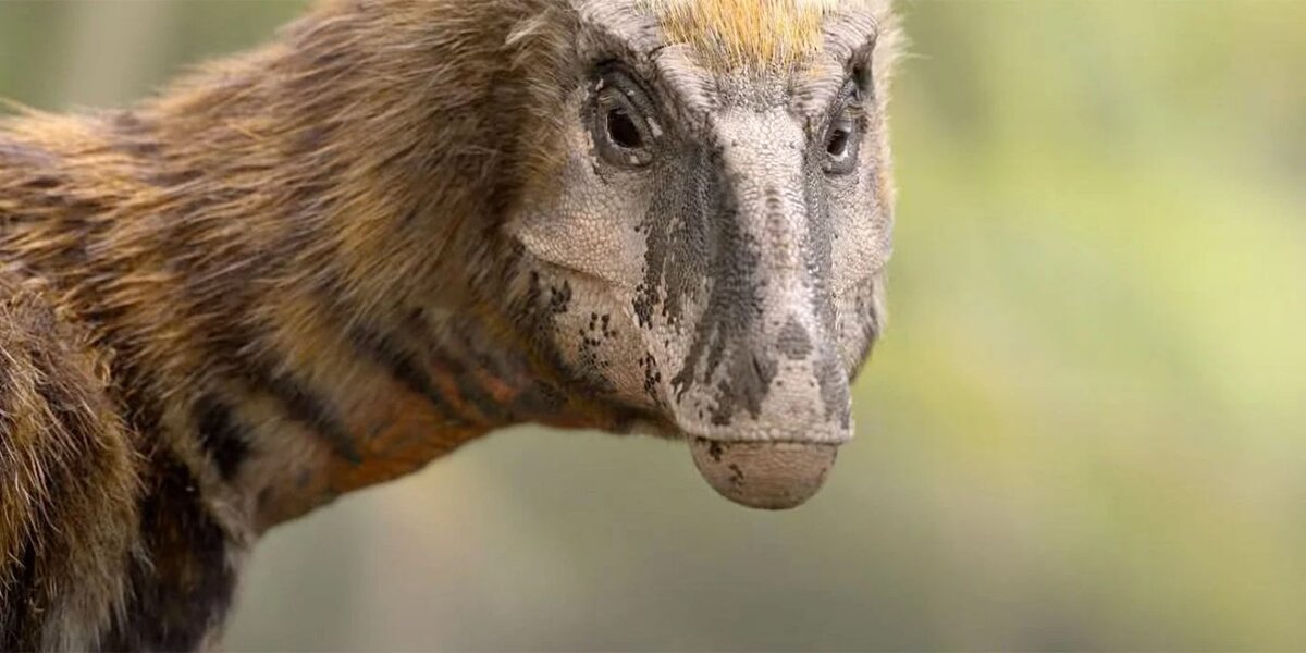 Кадр из сериала «Доисторическая планета»