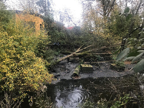 фото: пресс-служба Росприроднадзора