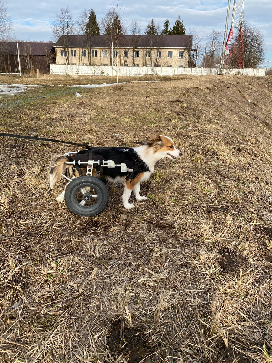 На своём Мерседесе 