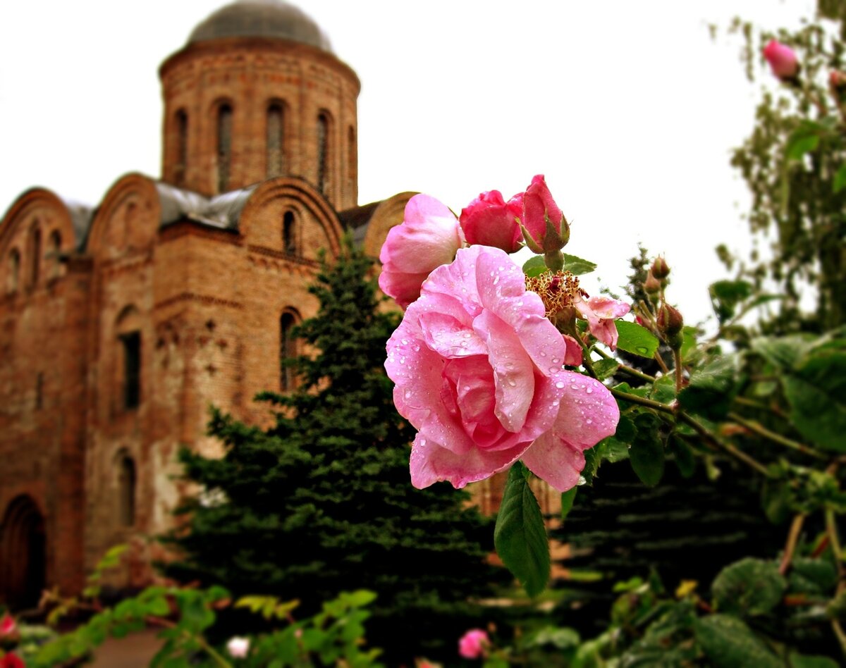 Петра и Павла Смоленск