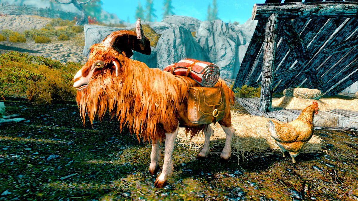 коза с вьючными сумками - отличный помощник при перевозке грузов