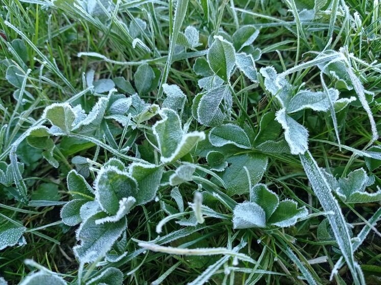     Фото: архив "МК в Калуге"