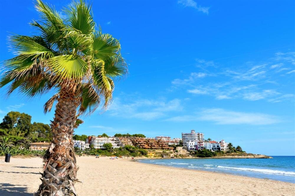 Hispanic beach: фотографии и изображения | Shutterstock