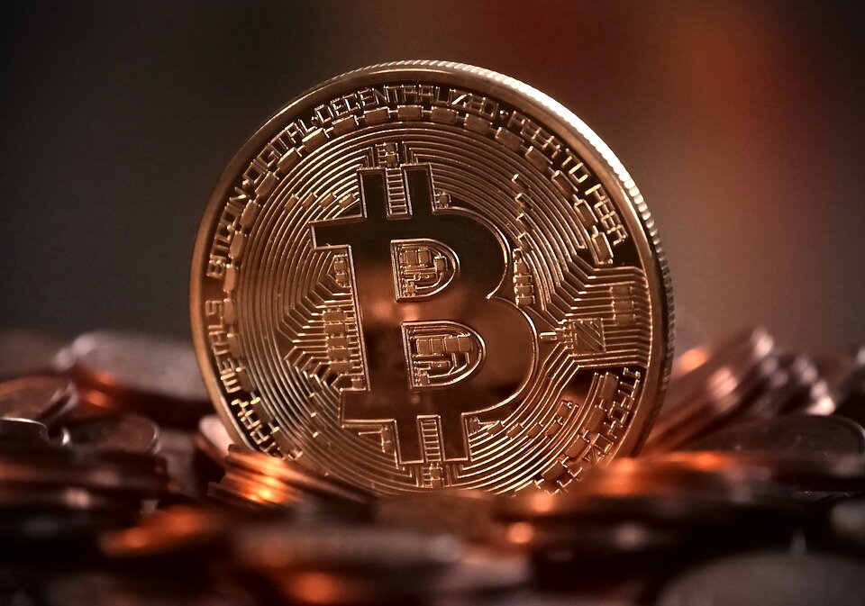 Источник изображения: https://pixabay.com/ru/users/MichaelWuensch-4163668/