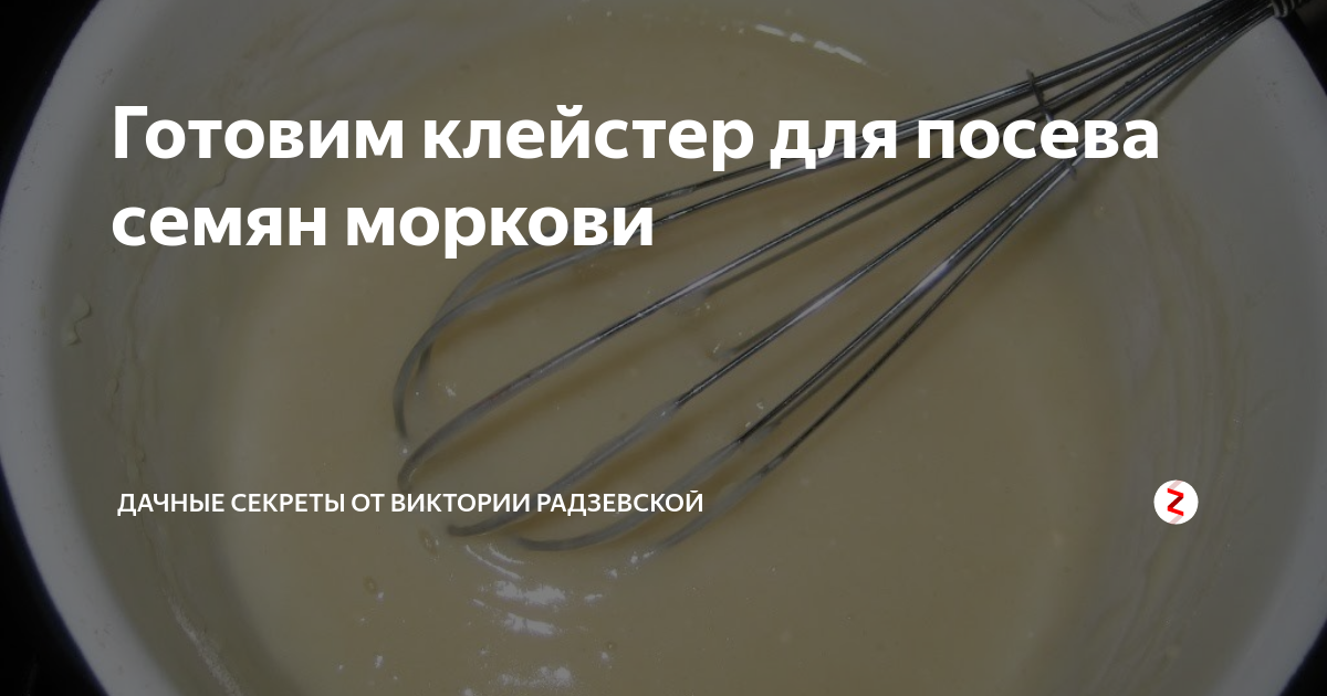 Клейстер для моркови из крахмала. Клейстер для семян моркови на туалетную бумагу. Клейстер из муки для семян. Клейстер для семян моркови для посадки. Как сделать клейстер для семян моркови.