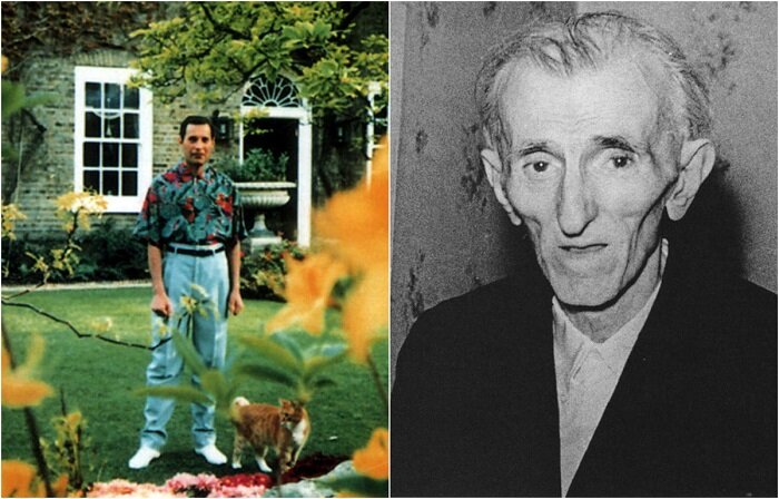  
Последние фотографии знаменитых людей.
«Да, человек смертен, но это было бы ещё полбеды. Плохо то, что он иногда внезапно смертен», - писал классик и, конечно, был прав. Все эти фотографии были сделаны незадолго до смерти этих известных людей. Кто-то на этих фотографиях ещё счастлив и полон сил, а кто-то уже предчувствует свой скорый уход. И кажется, что в глазах этих людей есть какая-то своя особенная тайна.
