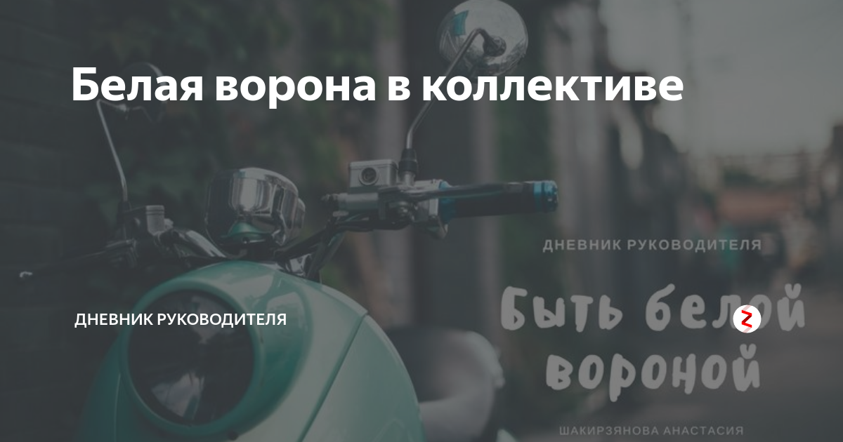 Белая ворона в коллективе | Дневник Руководителя | Дзен