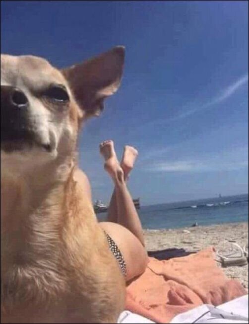 Хорошо на пляже