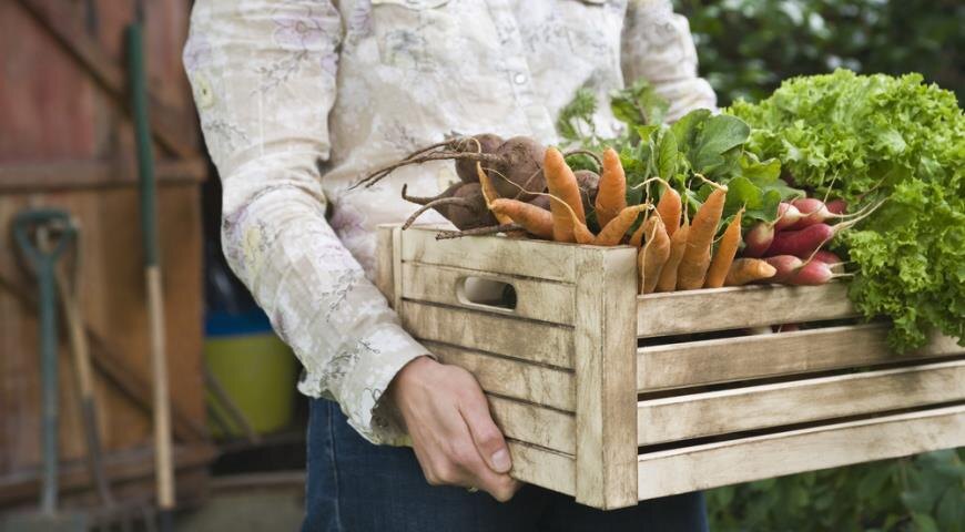 цены,продукты 