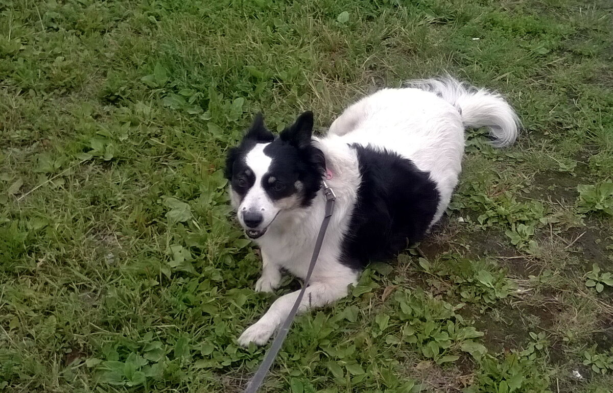 Спустя год. Наша Лера-Эльза - улыбака