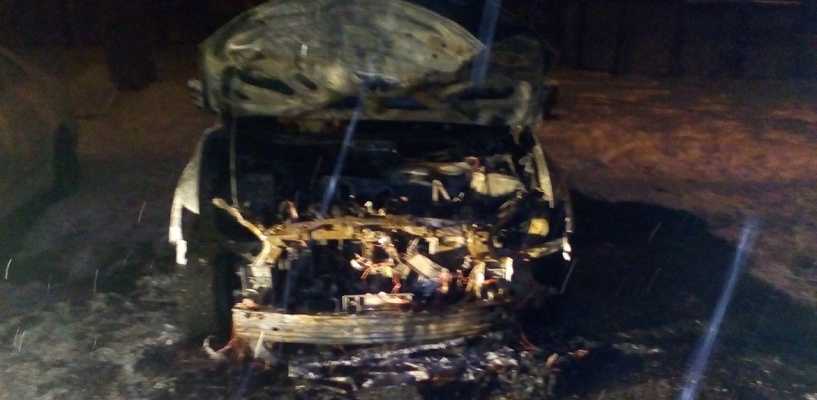 Фото: мчс по вологодской области