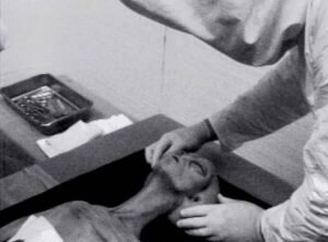  Инопланетяне действительно существуют. Это подтверждают их реальные фото. Конечно, многие фотографии, которые предоставляют очевидцы, являются подделкой. Но есть и те, которые предоставляют правдивые снимки, на которых присутствуют настоящие пришельцы.