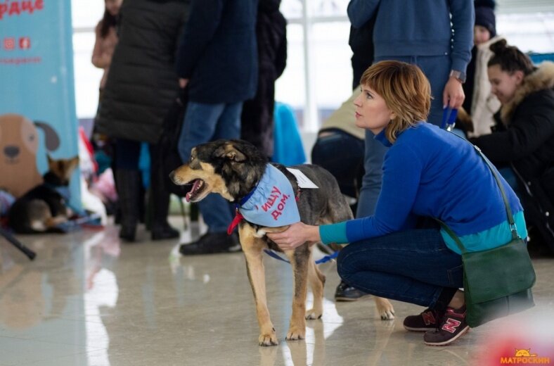 Фото: Дмитрий Филиппов, vk.com/ingeniare 