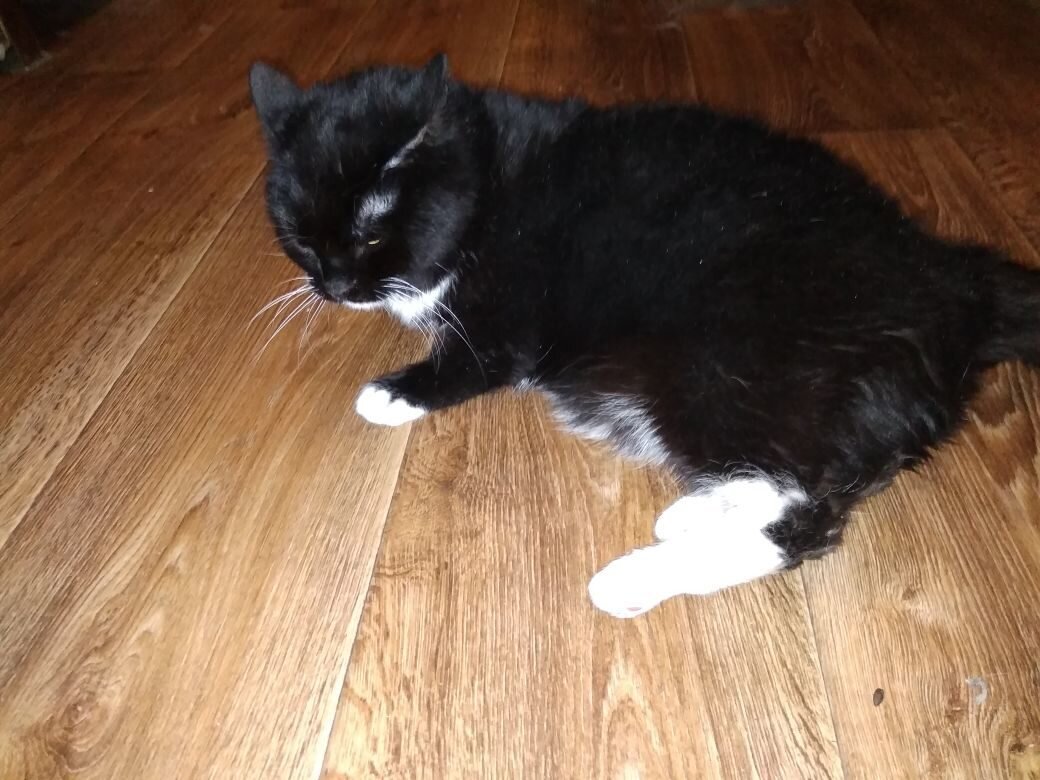 Я очень просила Вяфку побояться для фото, но она отказалась.