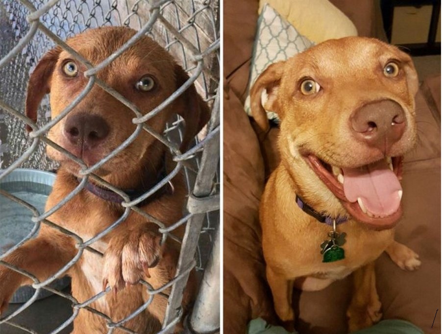 Благодарен Вам за то, что дочитали статью до конца. (Фото с открытого источника)