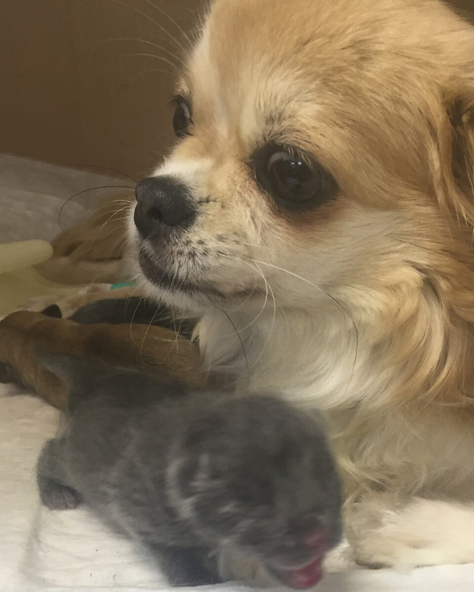 Семейство в сборе