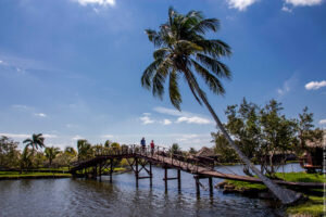 По размещению можно выбрать следующие варианты: надежный — отель или интересный вариант — частный дом. Комнату лучше забронировать заранее и не поленитесь поторговаться, можно существенно сэкономить на проживании. Насладиться духом дореволюционной страны возможно расположившись в старых районах Кубы.