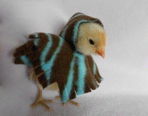 Щас я скину это пончо....