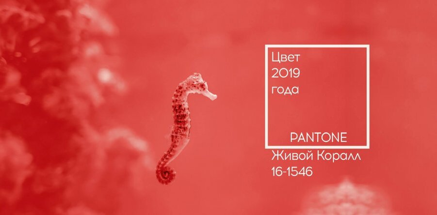 Цвета 2019 году. Pantone 16-1546 живой коралл. Pantone 16-1546 живой коралл / Living Coral (2019). Цвет года пантон 2019. Коралловый цвет года.