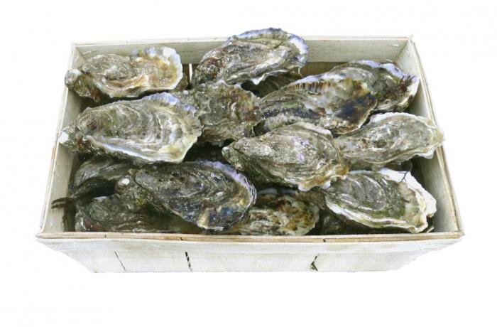 Источник фото: http://5republique.blogspot.com