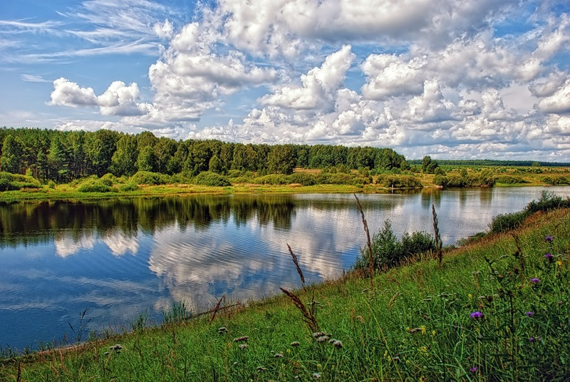 Русь моя. Природа глазами Есенина. Просторы земли русской Русь могучая. Русь моя родная.