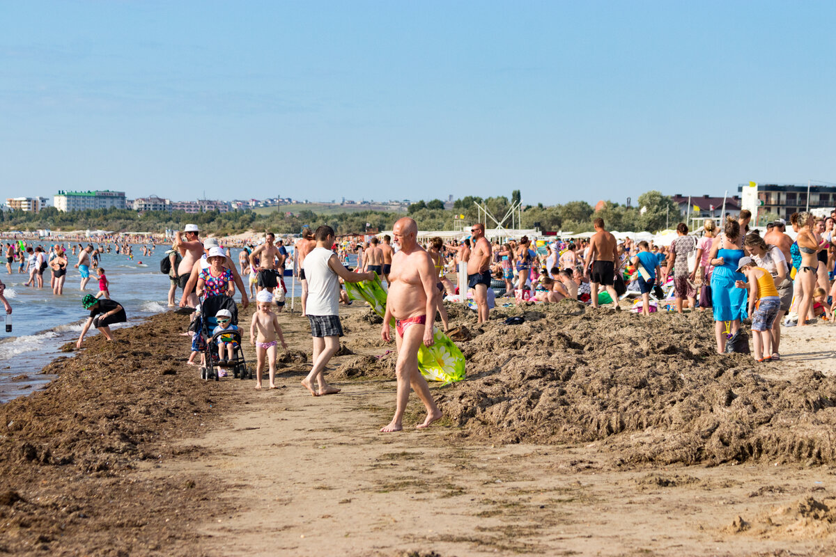 Вот такие кучи водорослей с песком на протяжении всего пляжа.