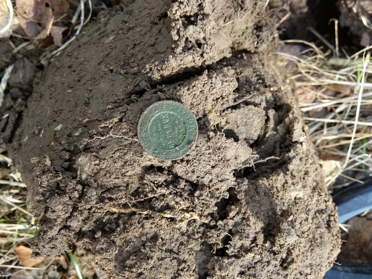 Подобную монету и нашли тогда
