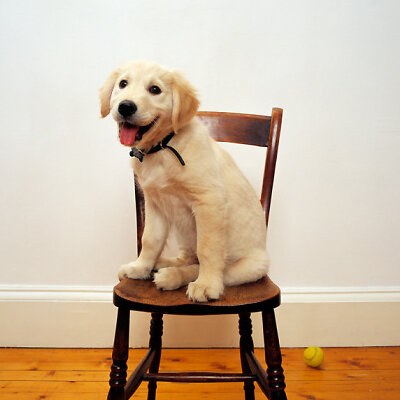 Фото с сайта https://goo-gl.su/1bR6