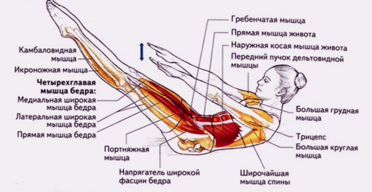 Мышцы напряжены и не расслабляются. Упражнения для спины лежа на скручивание. Пресс подъем ног лежа. Упражнения для мышц живота. Поднятие ног на пресс.