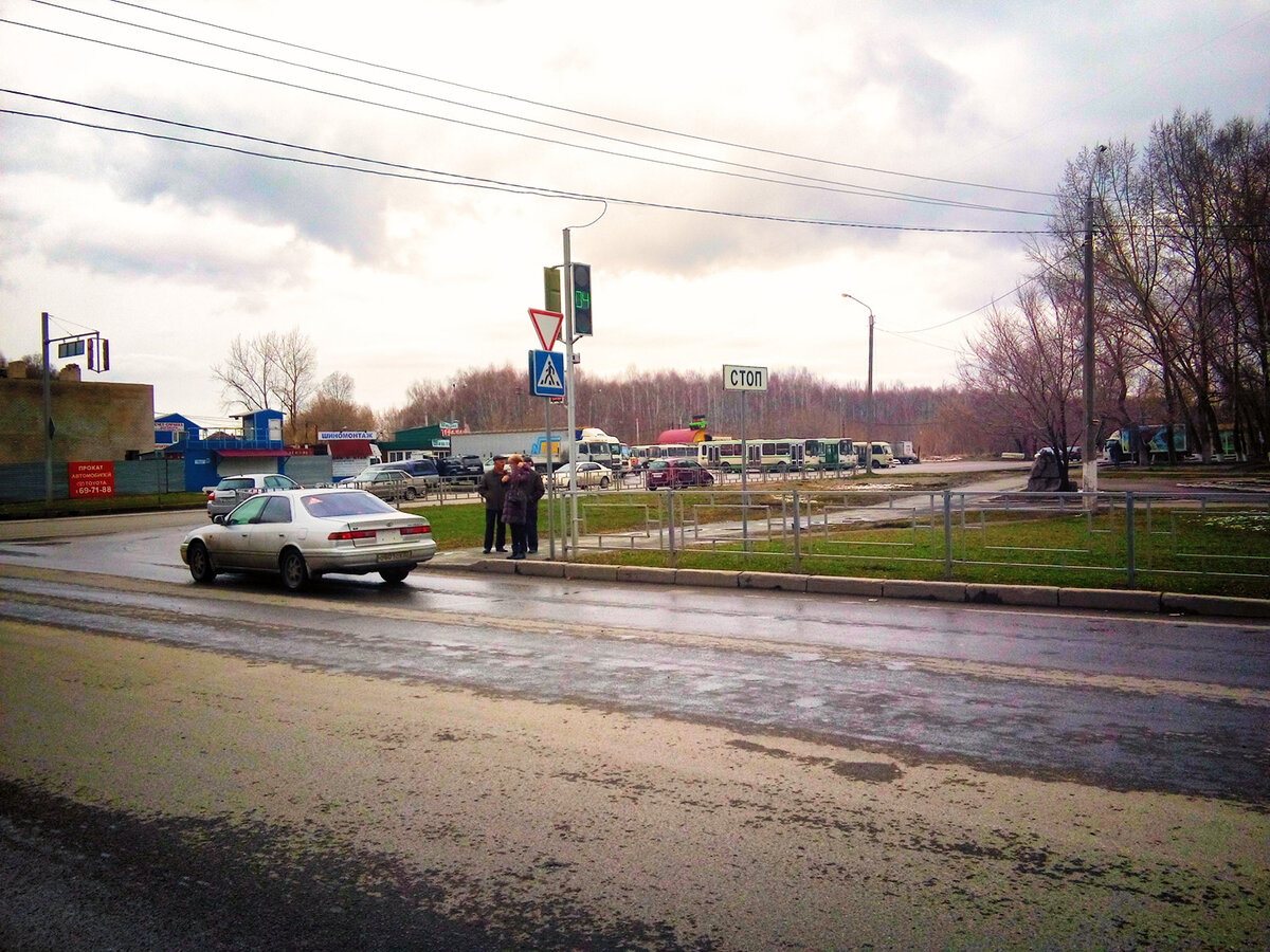 На дороге. Фото автора