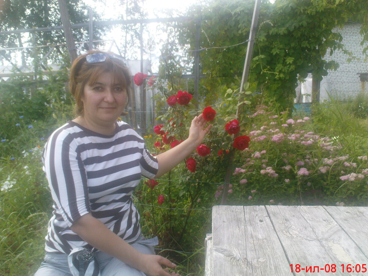 Любимая супруга