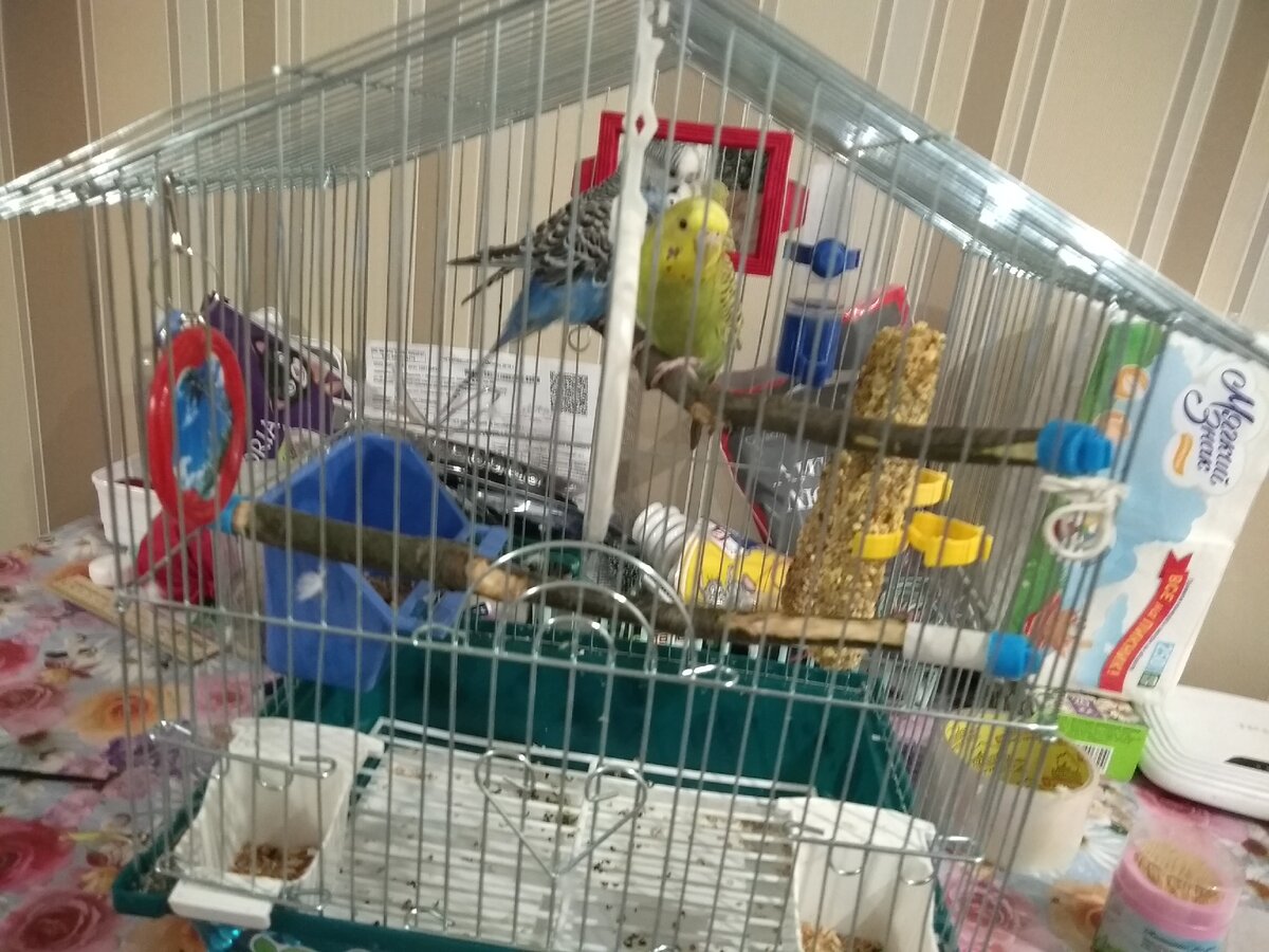 Фото из собственного архива