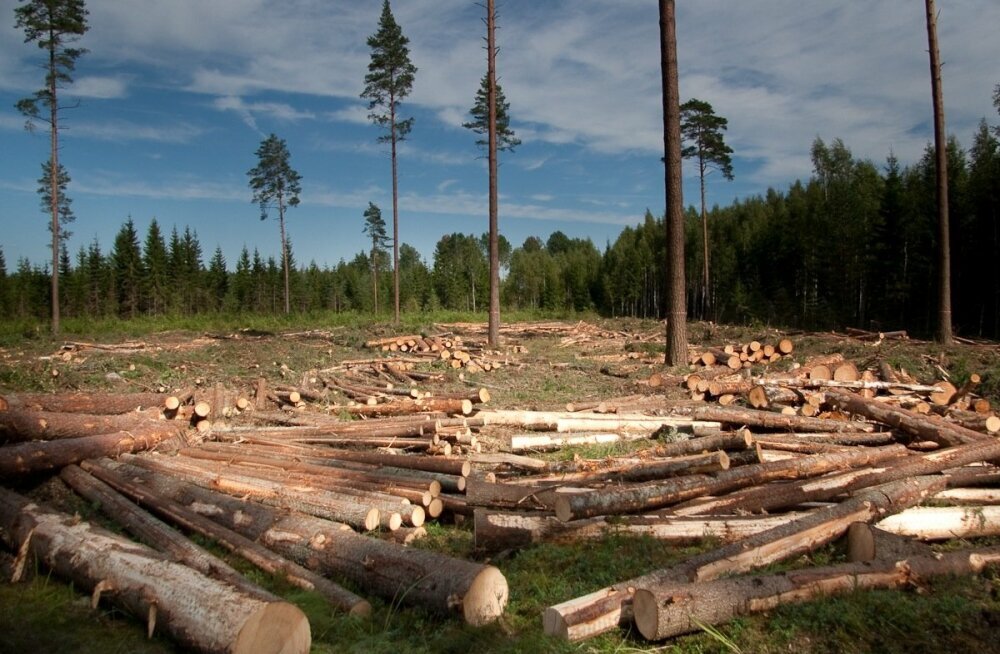 Фото news.myseldon.com