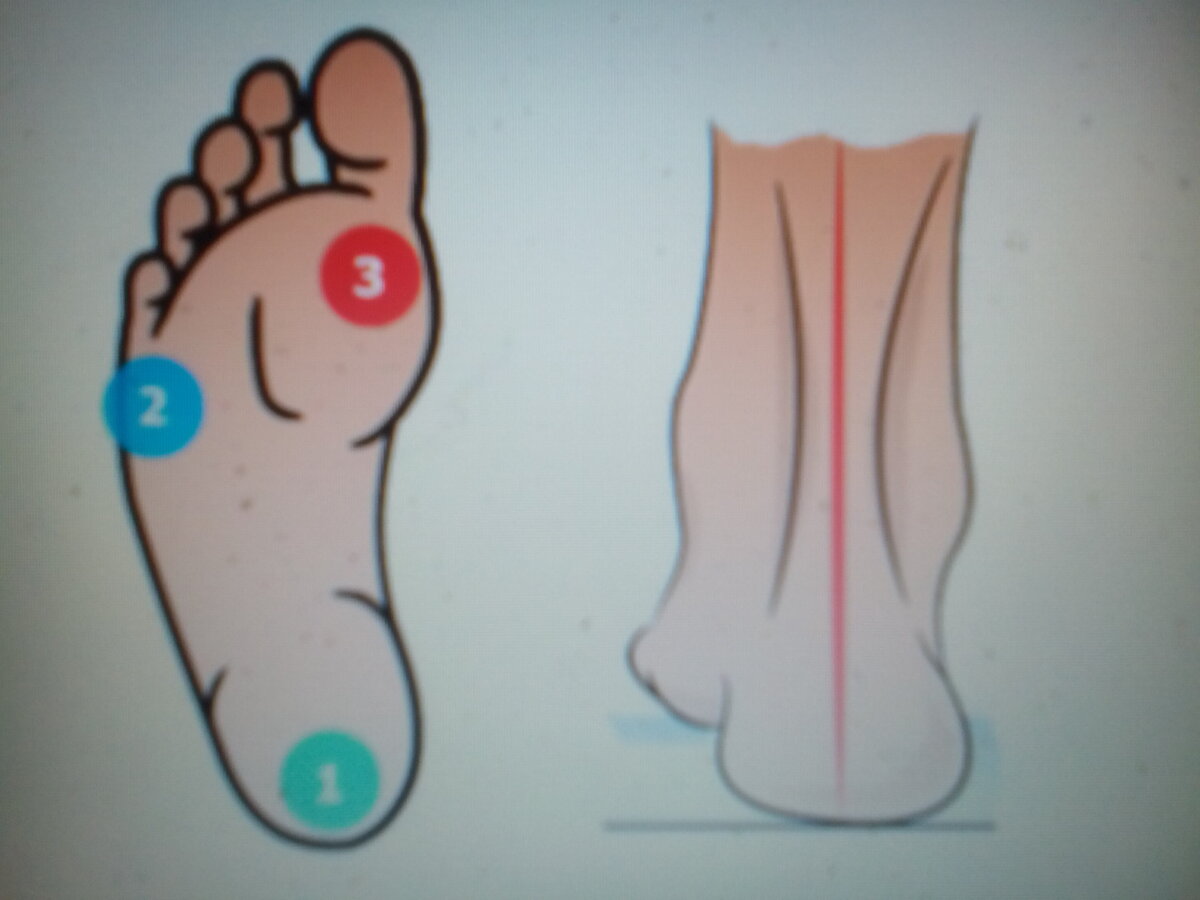 Поставь на стоп. Правильная постановка стопы. Правильное расположение стопы. Постановка ступней при ходьбе. Постановка ног при ходьбе.