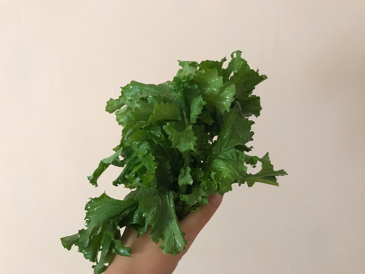 Свежие фриариелли выглядят так