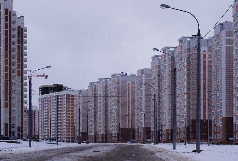 Вот такими мы увидели Кузнечики в Подольске