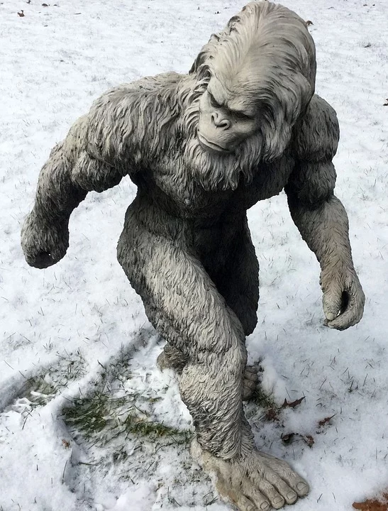 https://pixabay.com/photos/bigfoot-sasquatch-yeti-1620140/