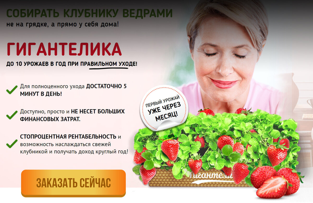                                                                     пример одного сайта
