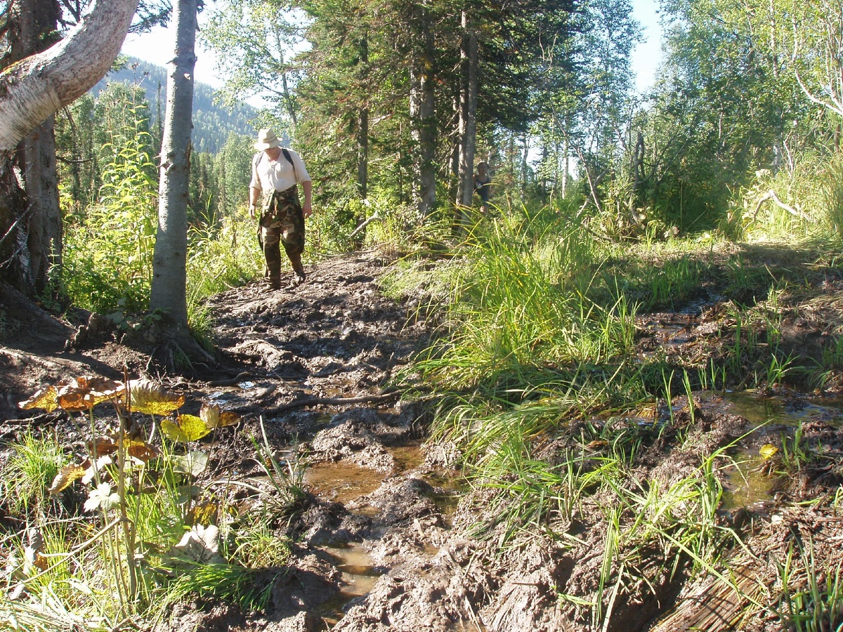Тропа после дождя