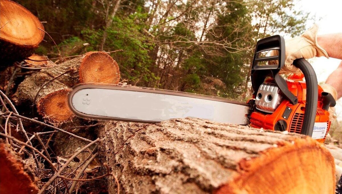 Фото с сайта 220-volt.ru/Husqvarna