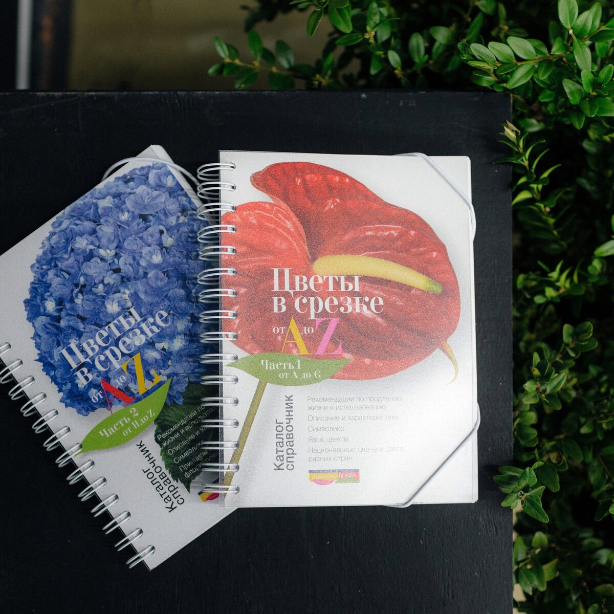 Елена Юдаева: каталог-справочник «Цветы в срезке от A до Z»