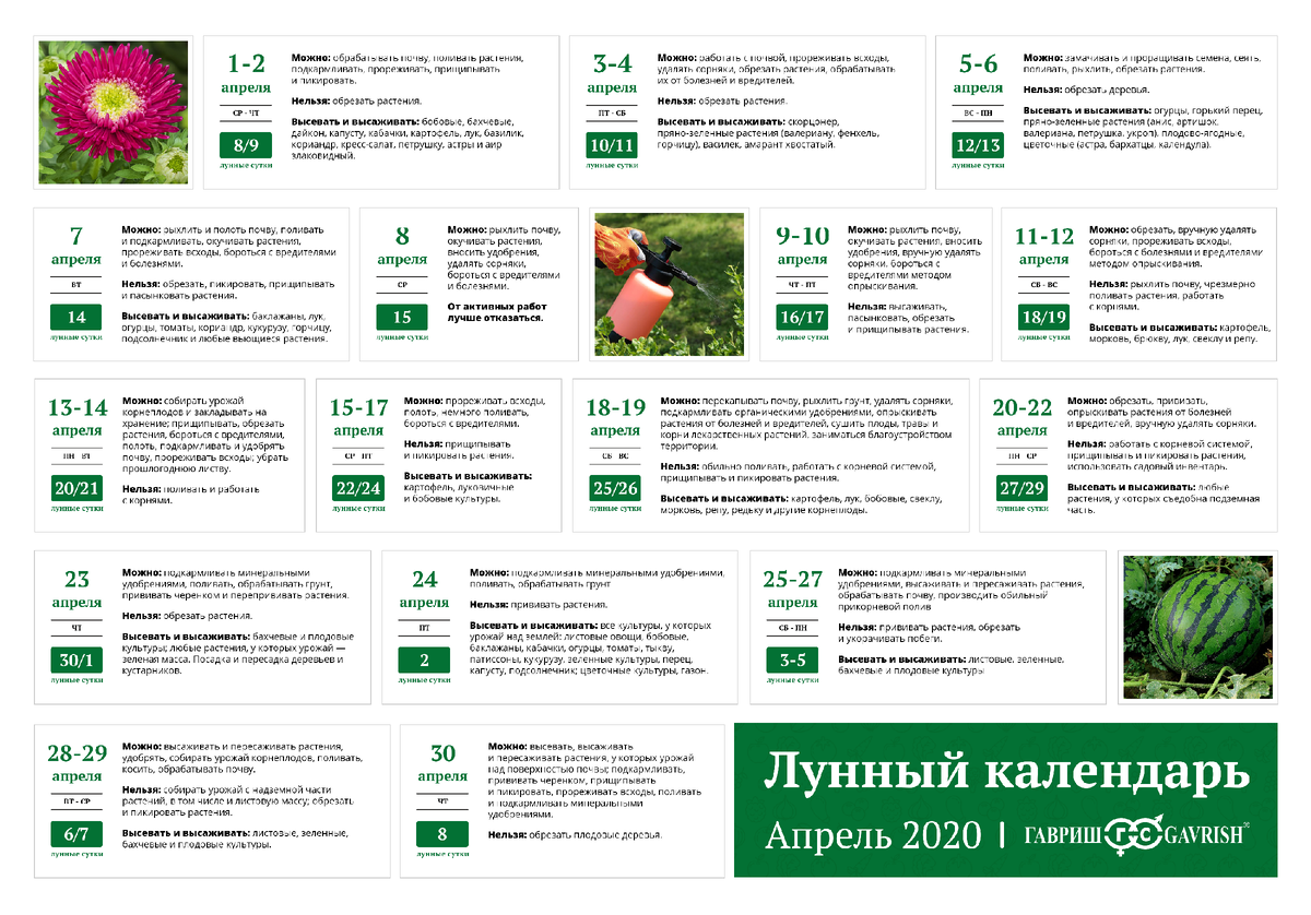 Лунный Календарь на Февраль 2025 года - Смотреть онлайн в поиске Яндекса по Виде