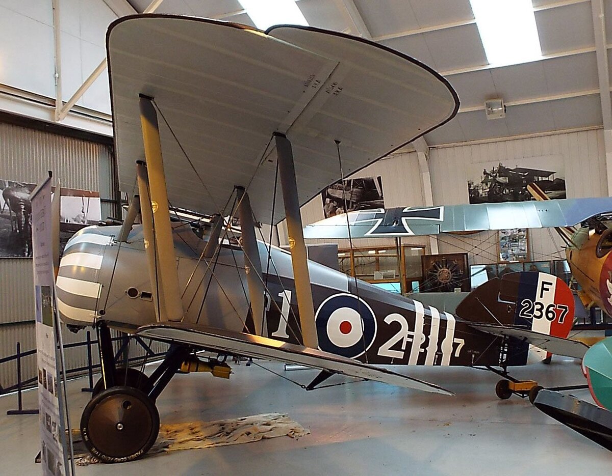 Фото из открытых источников.